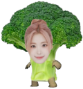 nienbroccoli