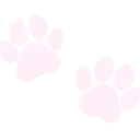 005DNSPERV