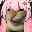 xiomiiMuejejejejeje Discord emoji