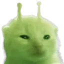 glorp
