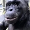 ok