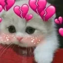 TGP_cute