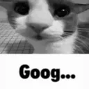 Goog