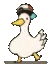 duckdance