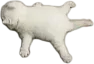 splort