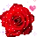 red_rose