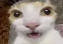 omg
