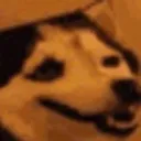 guh
