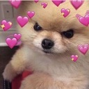 angwydog Discord emoji