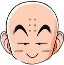 shin