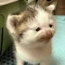 smallEyesWtf