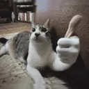 Thumbsup