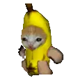 BananaCat