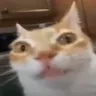 erm