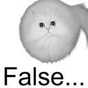 :false: