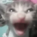 catyell