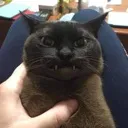 evilgrab