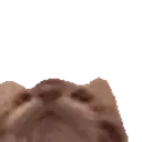 Tasty