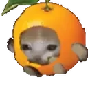 orangeCat