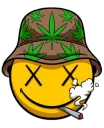 Stoner
