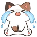 cry