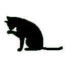 32744blackkitten