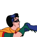 robin_shake