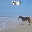 MANHORSE