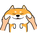 cutedog