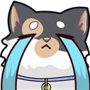 cutecatcry_q