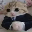 BASEDcat