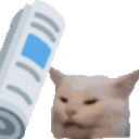 x_newspapercatbonkslap