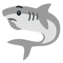 Shark