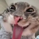 rigby