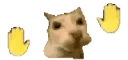 SILLYDANCE
