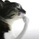 thinking