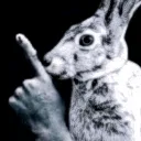 Shh
