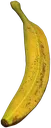 Fresh_Banana