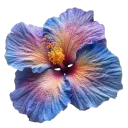 flower_3