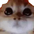 Ragey