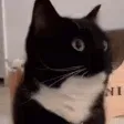 uniStare
