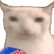 veryCat