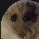 oop