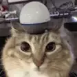 ALERT ALERT