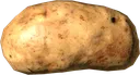 Potato