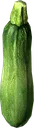 Zucchini