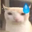 Bruh
