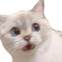 divine_huh custom emote - Apricity™ 😻 | Egirl •  Dating • Social • Chat • Chill • Vc