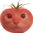 johntomato