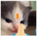 jaishreeram